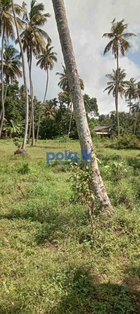 Valuable land for sale - photo 1