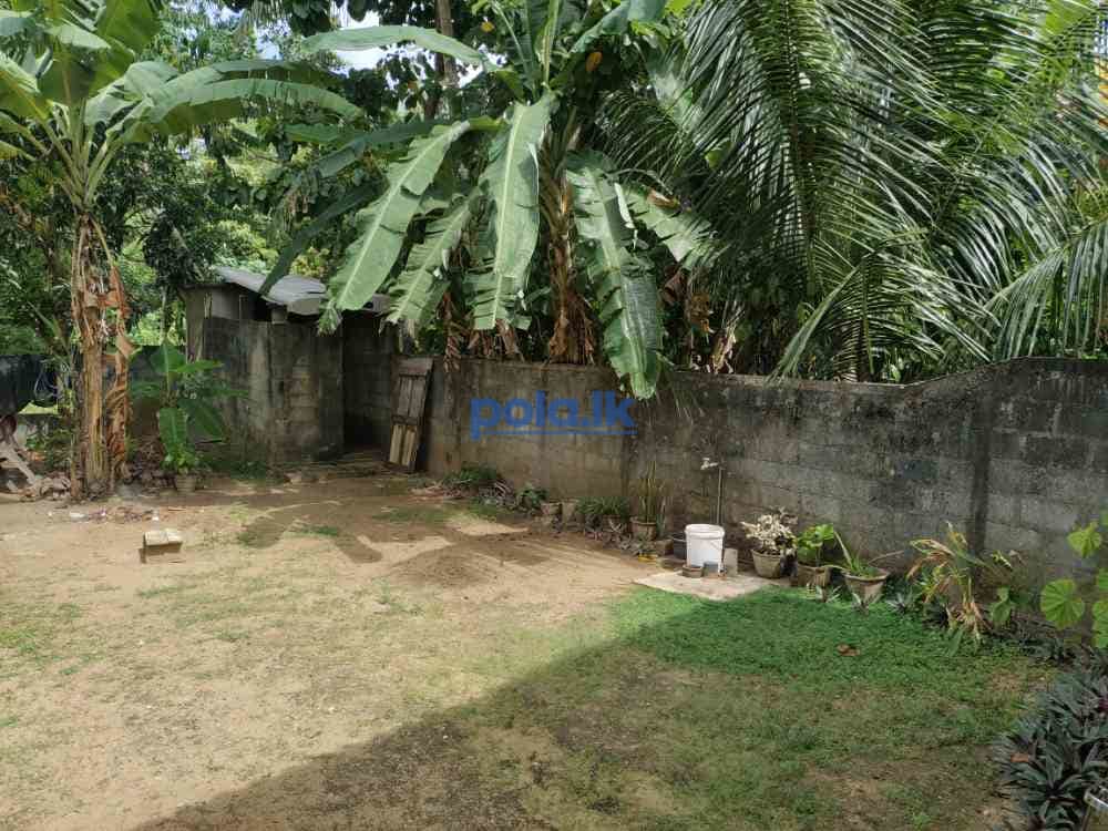 5 Perches land for sale in paragahadheniya - photo 2