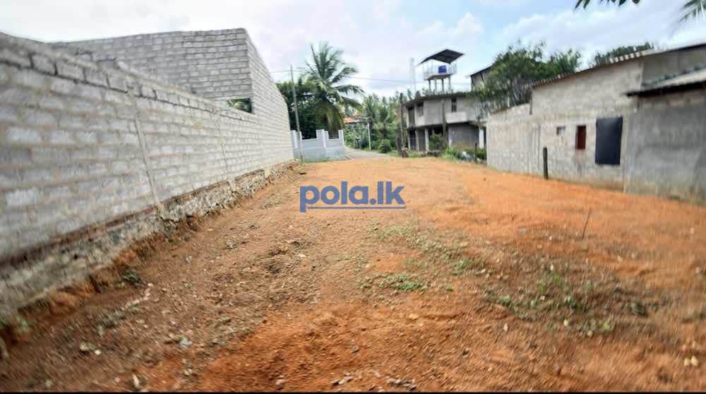 Land for sale - photo 4