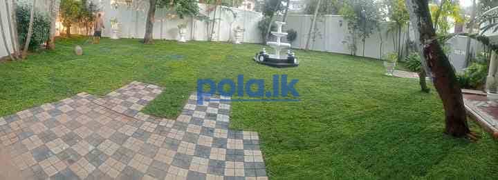 Malaysian grass carpet with laying - photo 17