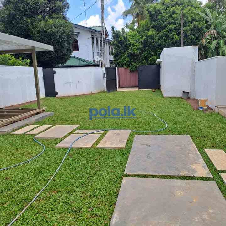 Malaysian grass carpet with laying - photo 18