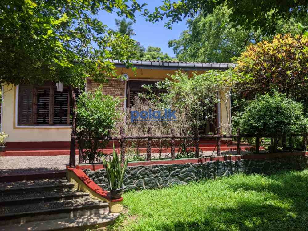 Two houses for sale in wattala - photo 4
