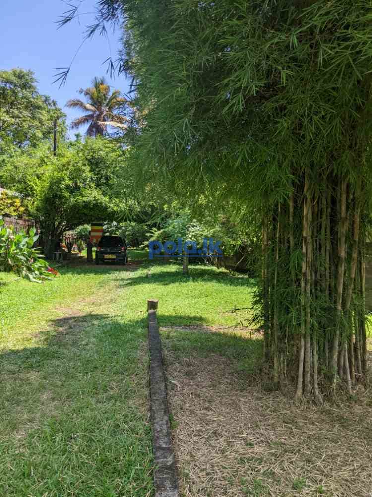 Two houses for sale in wattala - photo 1