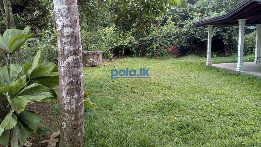 Land with house for sale - photo 2