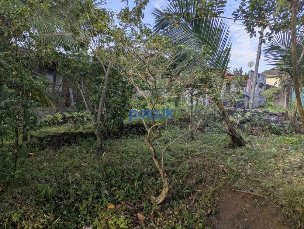 House for sale in in for sale in gampaha - photo 4