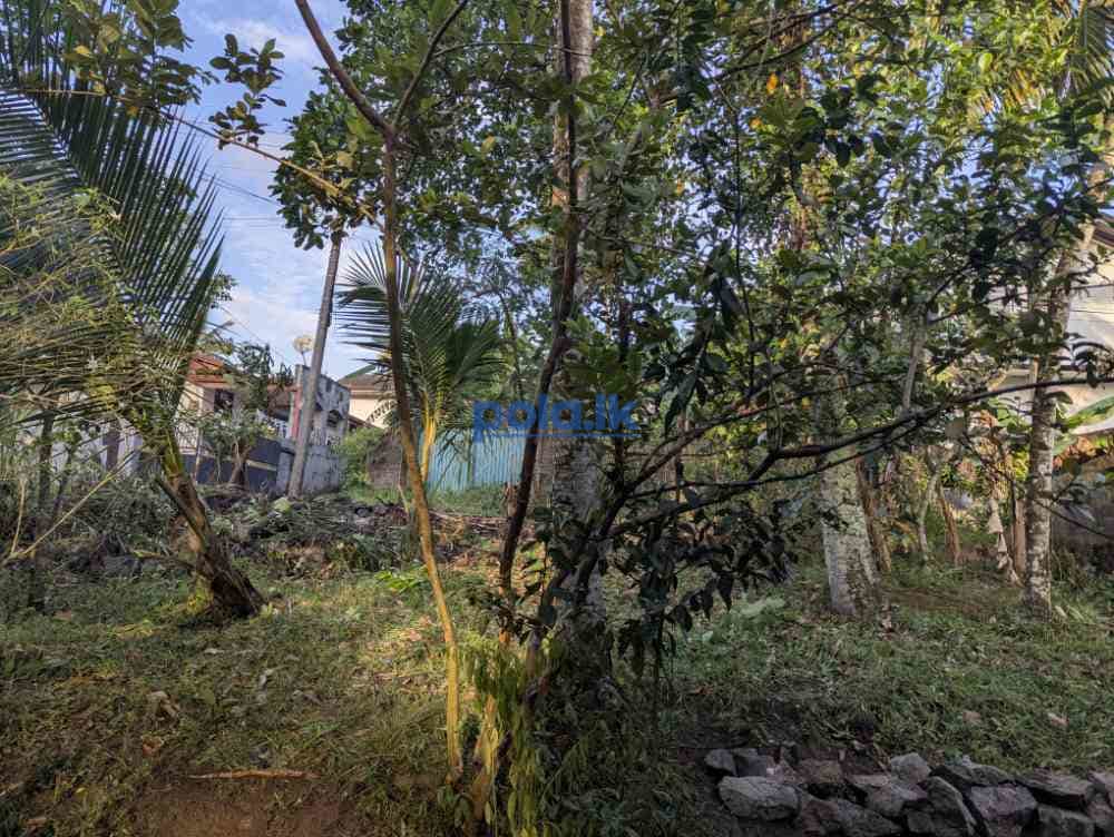 House for sale in in for sale in gampaha - photo 5