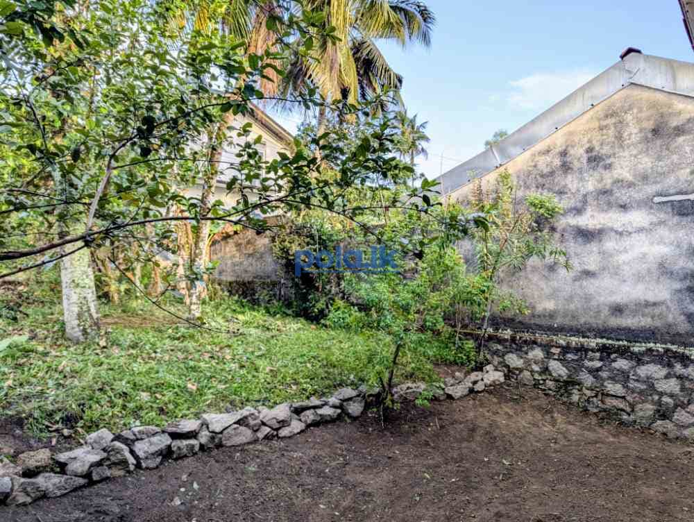 House for sale in in for sale in gampaha - photo 3