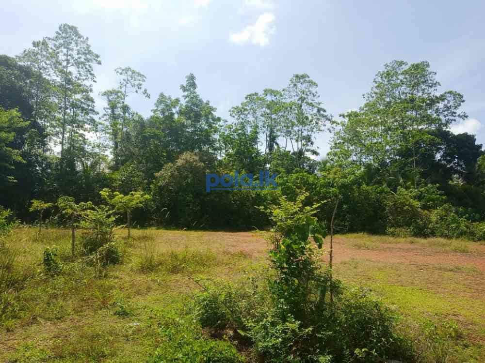 Prime land plots for sale in nittambuwa urapola - photo 1