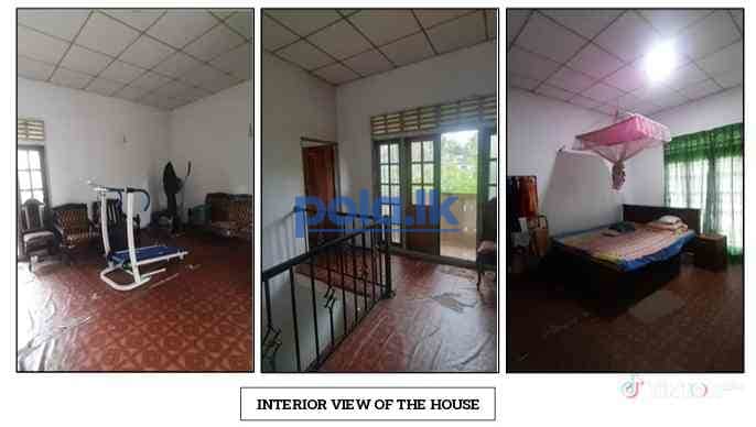 Newly build house for sale - photo 3