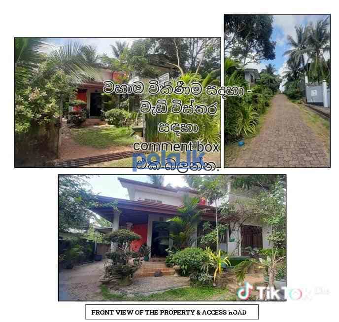 Newly build house for sale - photo 2