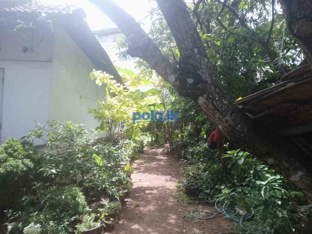 House for sale in delgoda kiribathgoda main road - photo 6