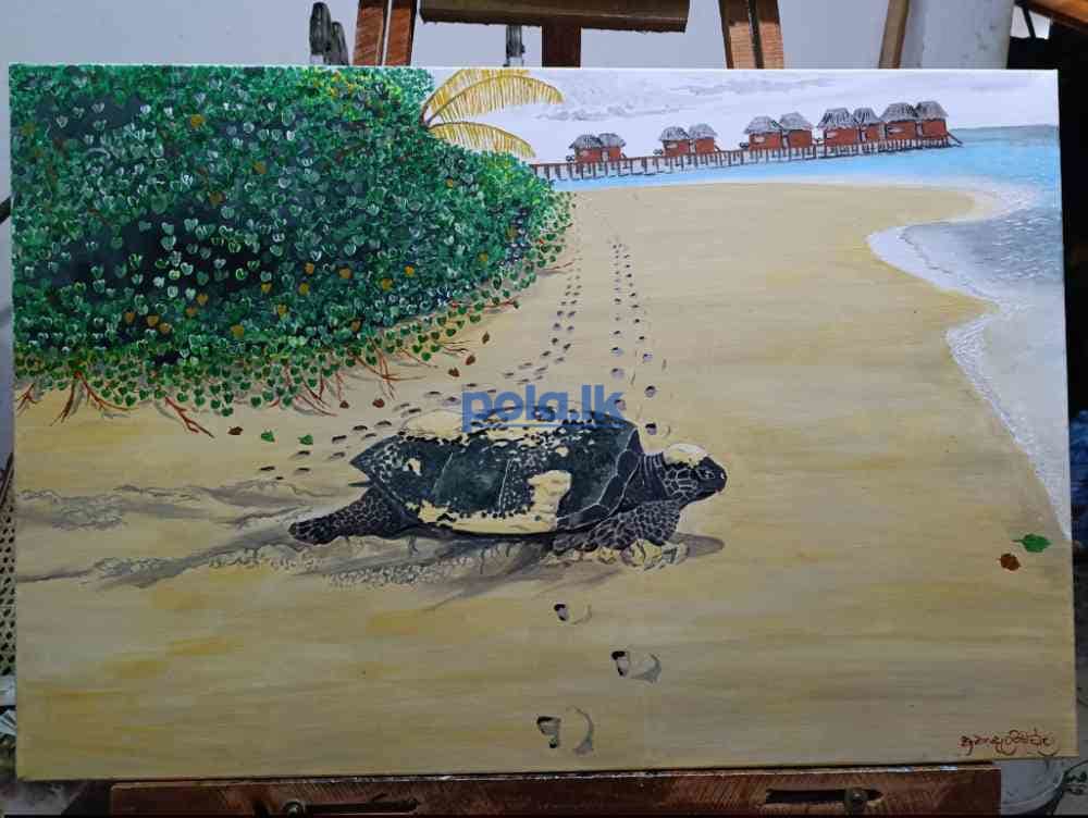 Sea turtle pain - photo 2
