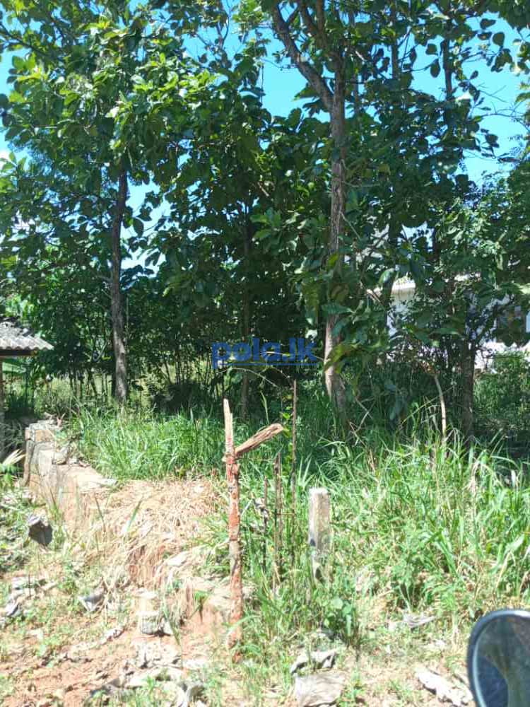 Land for sale in palapathwala - photo 4