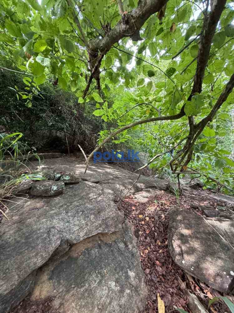 Tourism investment land in unakuruwa tangalle - photo 8