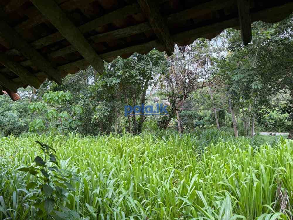 Tourism investment land in unakuruwa tangalle - photo 5