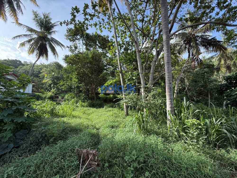Tourism investment land in unakuruwa tangalle - photo 2