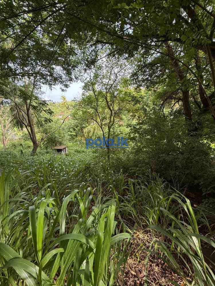 Tourism investment land in unakuruwa tangalle - photo 6