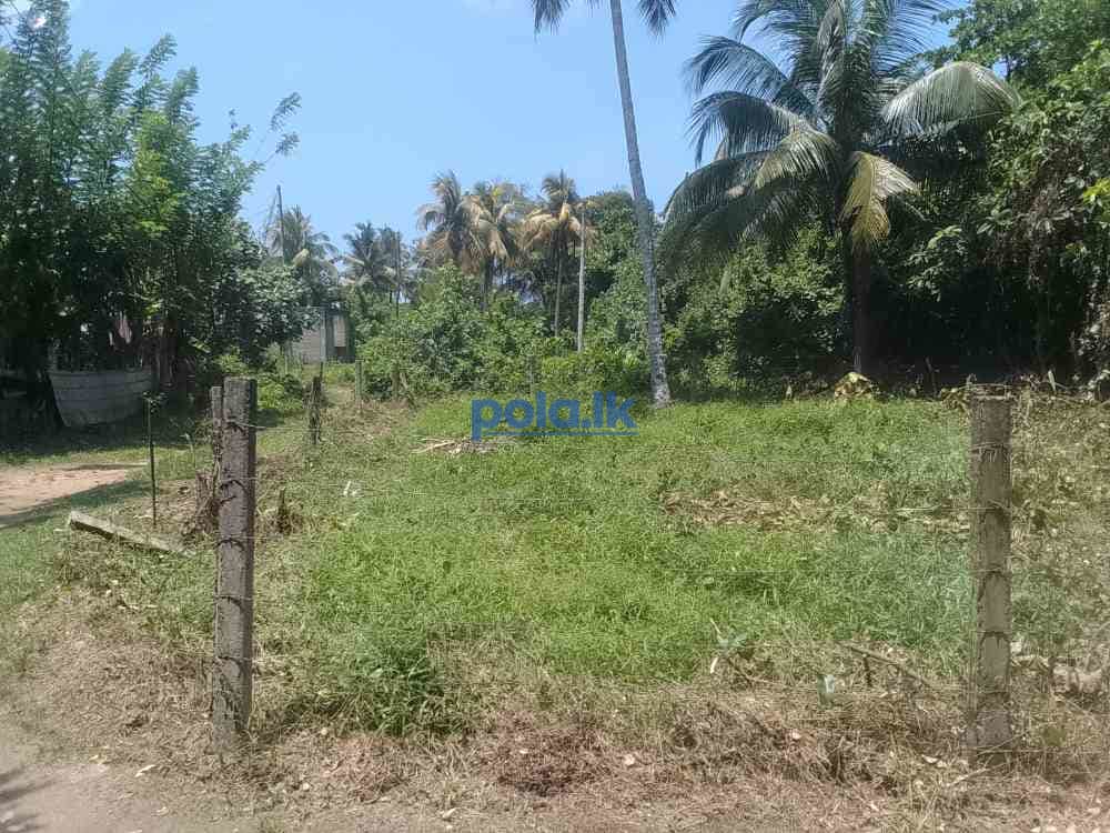 Land for sale matara - photo 5