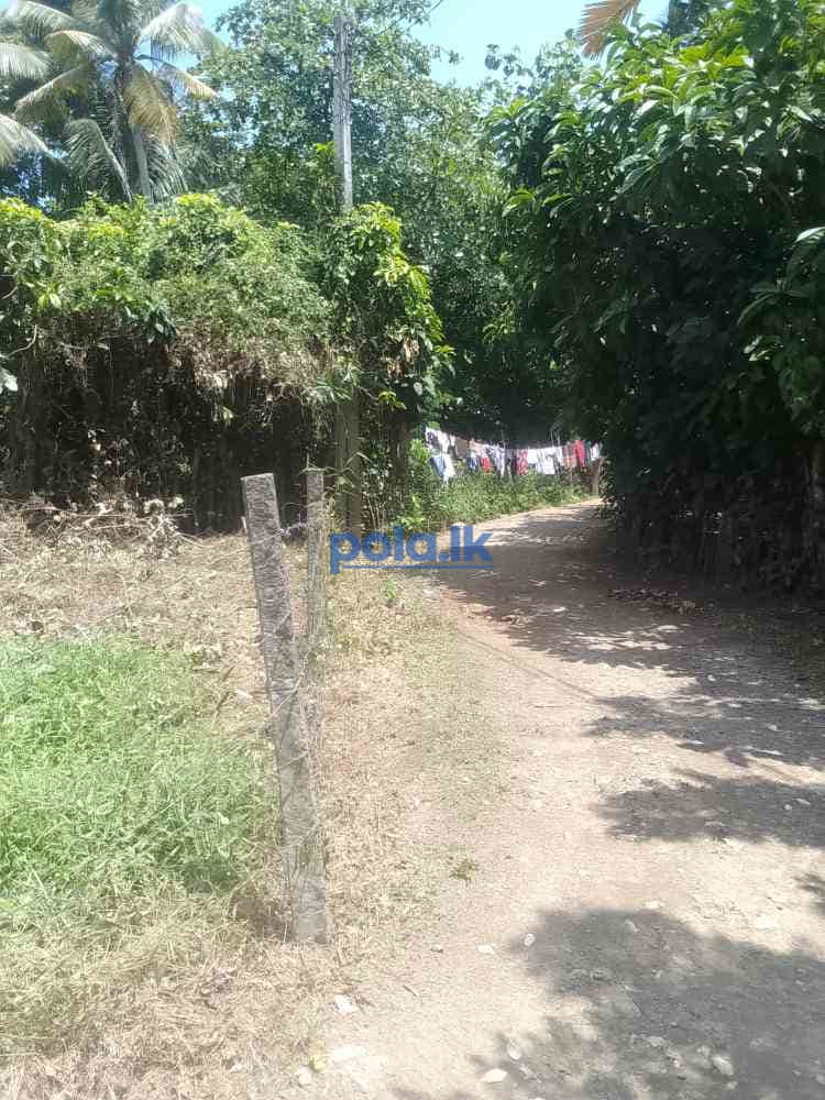 Land for sale matara - photo 6