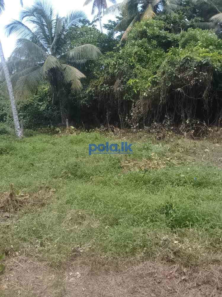 Land for sale matara - photo 7