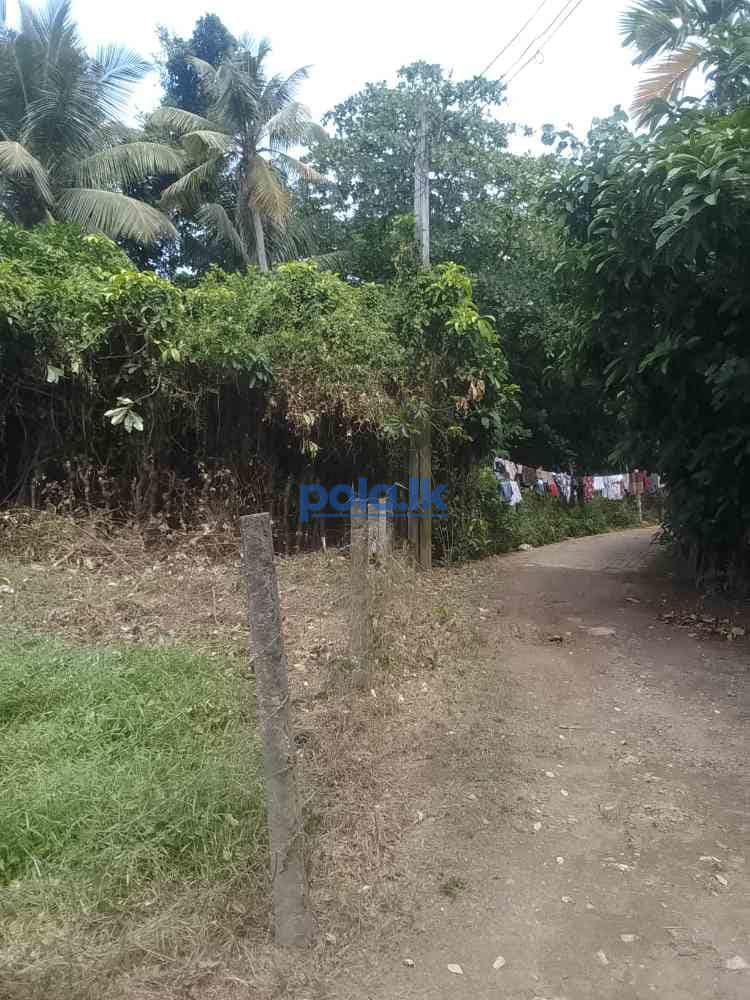 Land for sale matara - photo 4