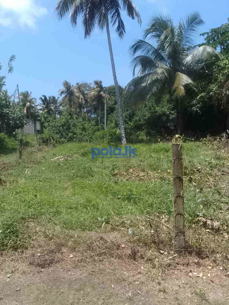 Land for sale matara - photo 2