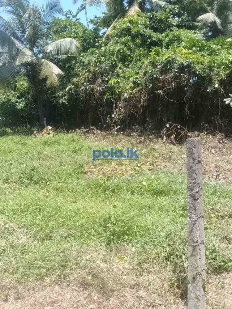 Land for sale matara - photo 3