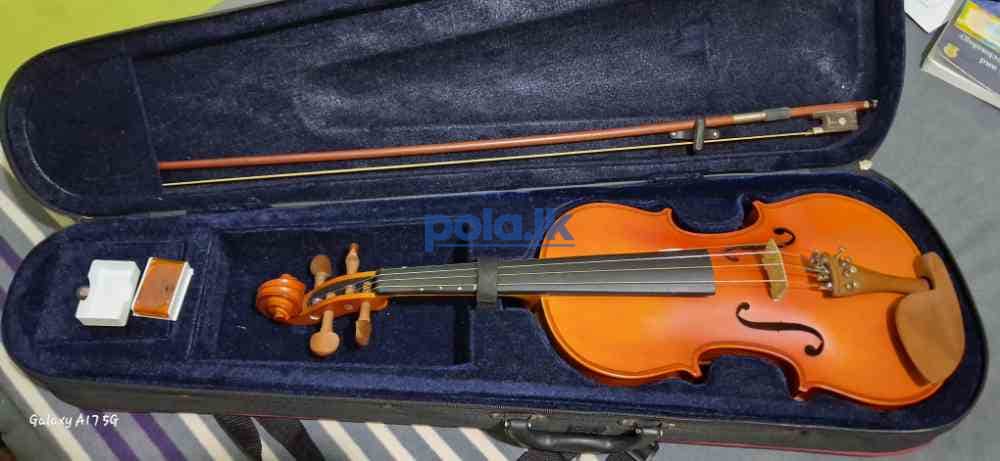 Skyland lark violin - photo 1