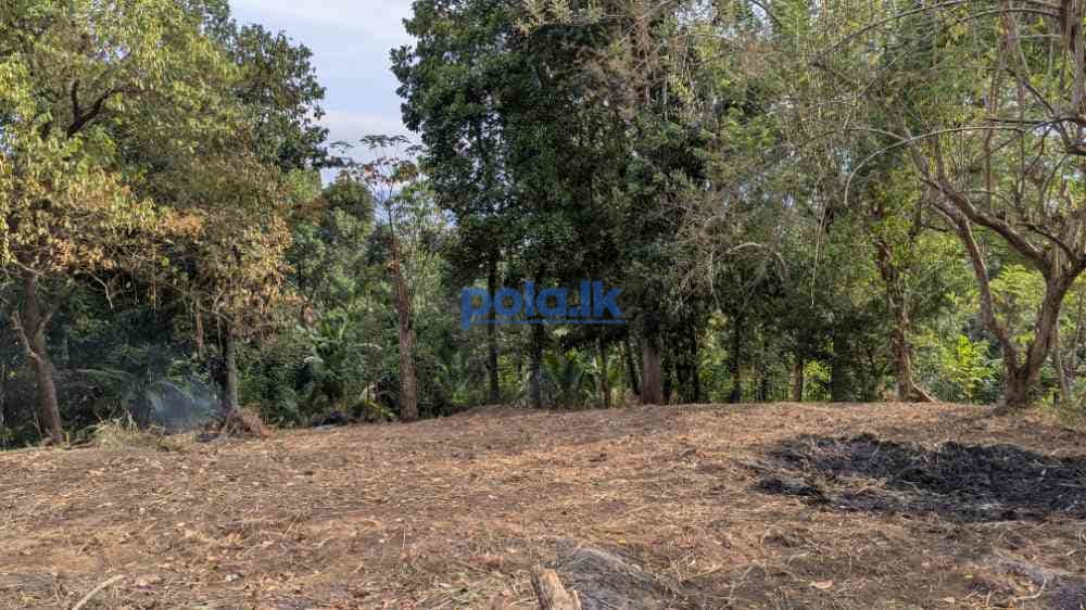 Prime land for sale ideal for home or investment - photo 3