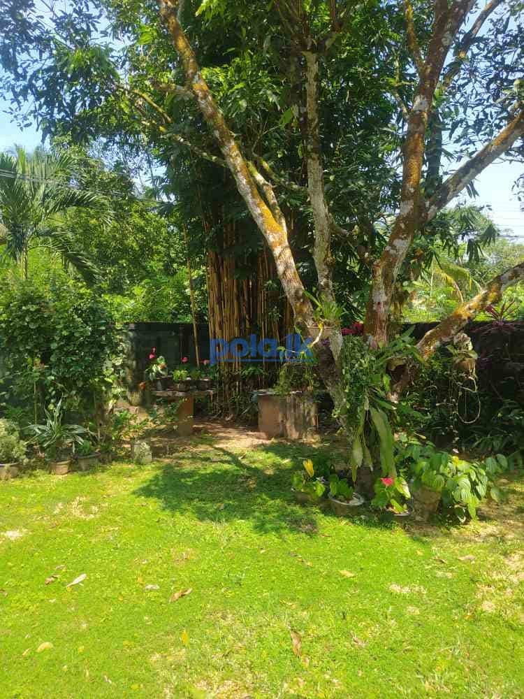 Land with house for sale - photo 8