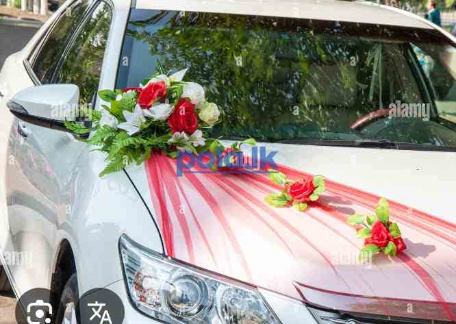 Wedding car decorations - photo 2