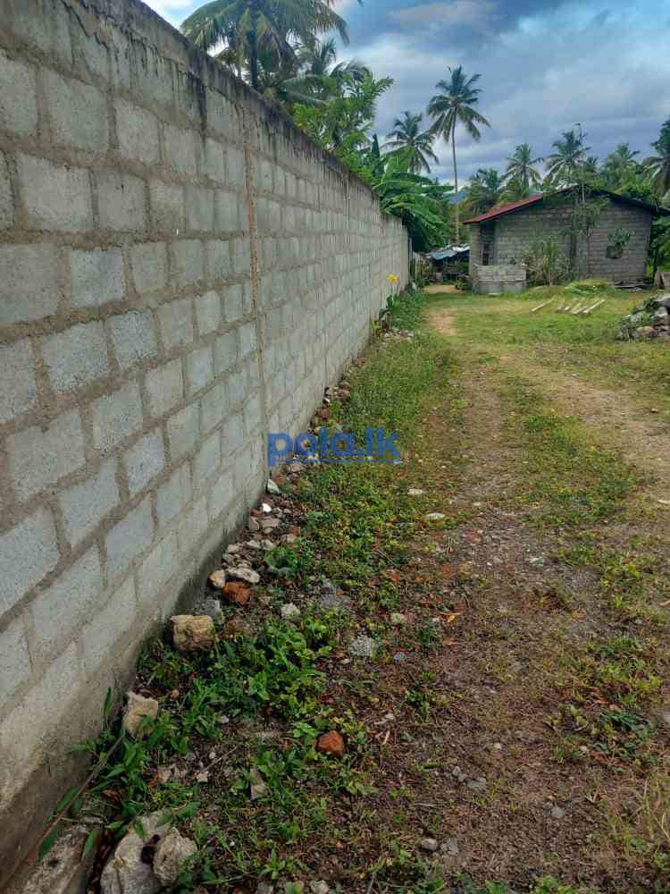 Land for sale in kurunegala - photo 7