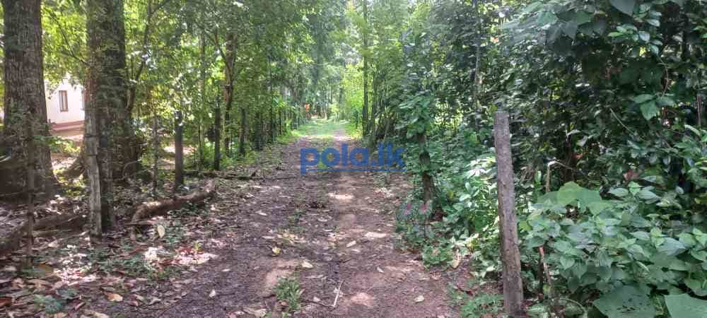 Valuable land in calm environment in gampaha - photo 13