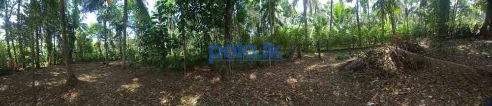 Valuable land in calm environment in gampaha - photo 11