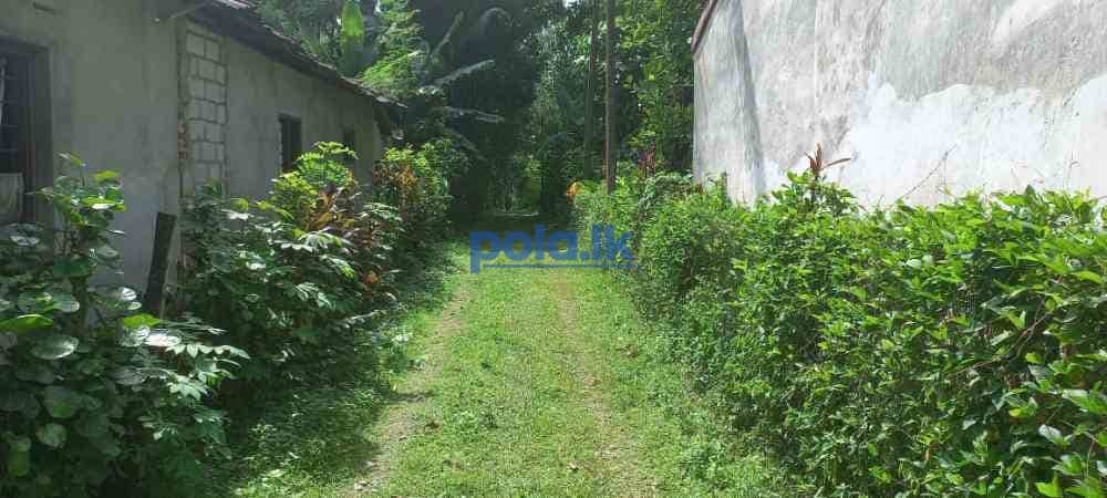 Valuable land in calm environment in gampaha - photo 9