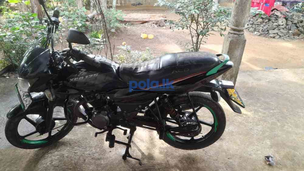 Bajaj XCD 125CC 2009 - photo 1