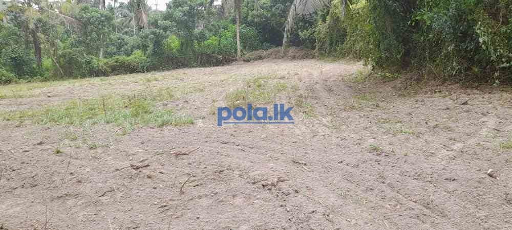 Land for sale in gampaha - photo 6