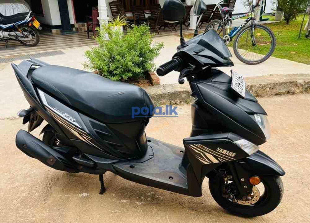 Ray zr 2019 - photo 7