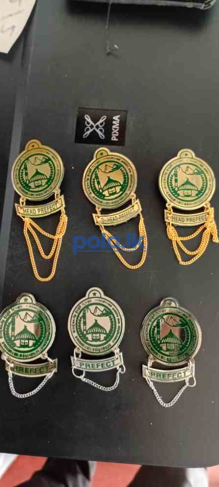 All kinds of school badges - photo 1