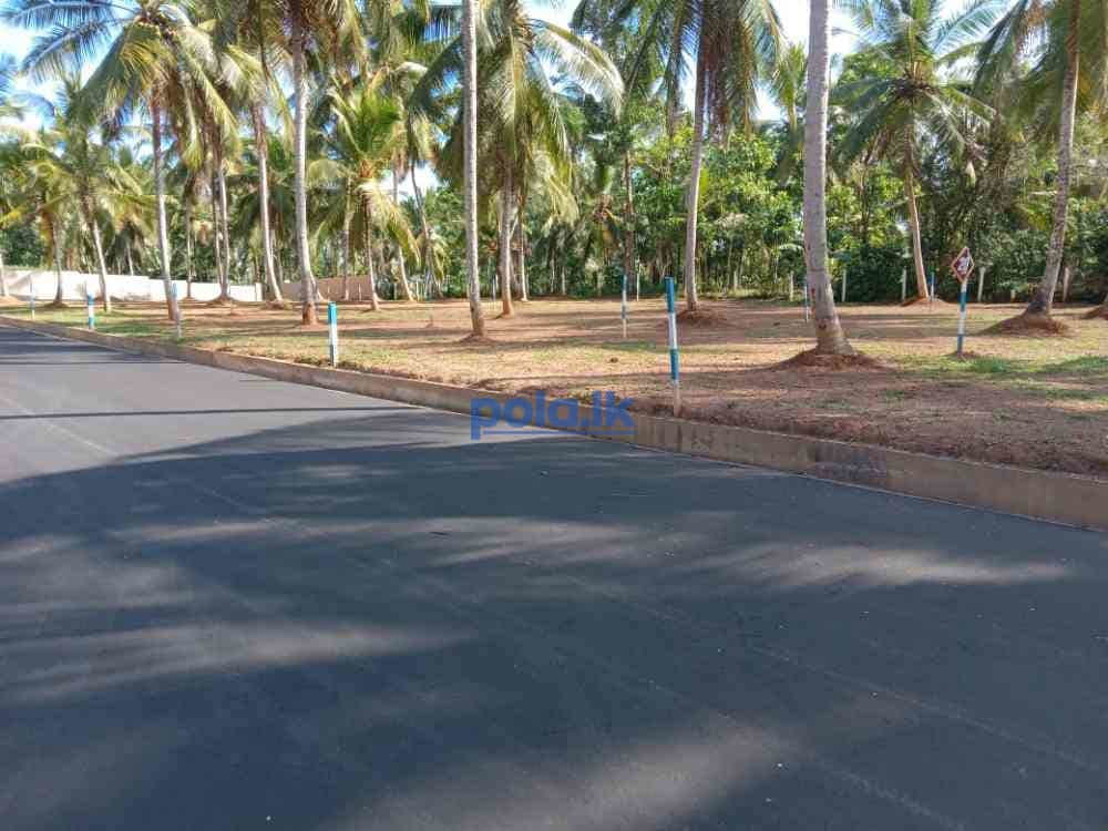 Land for sale in gampaha - photo 2