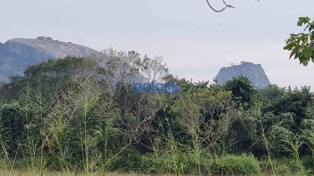 Land for sale in sigiriya - photo 9