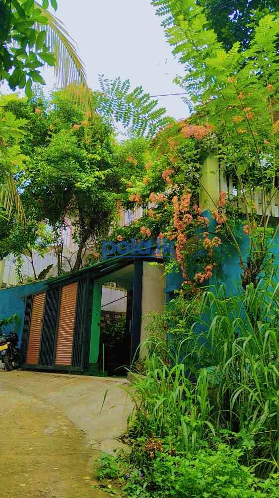 3 bedroom house for rent in kandy - photo 2