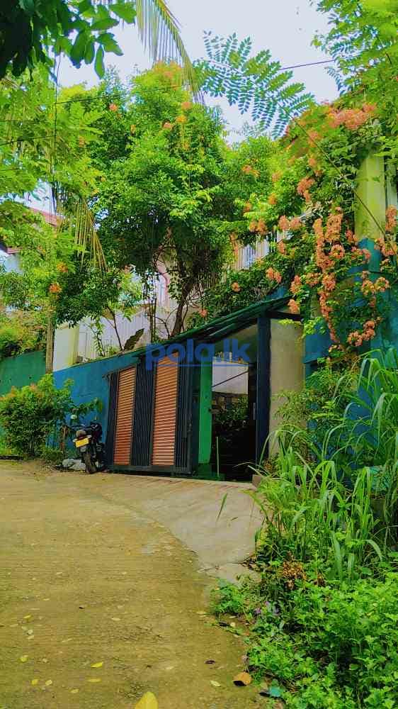 3 bedroom house for rent in kandy - photo 1