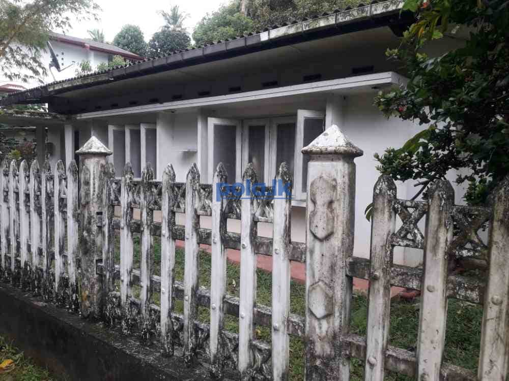 House for rent - photo 3