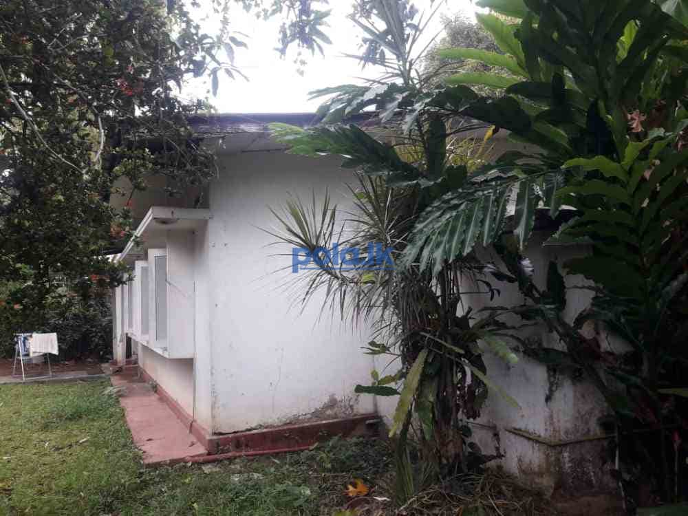 House for rent - photo 4