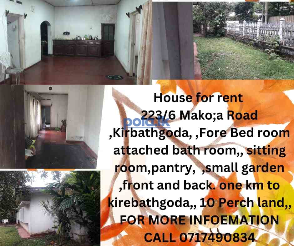 House for rent - photo 1