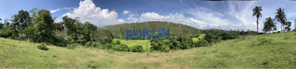 Land for sale in kaluthara - photo 18