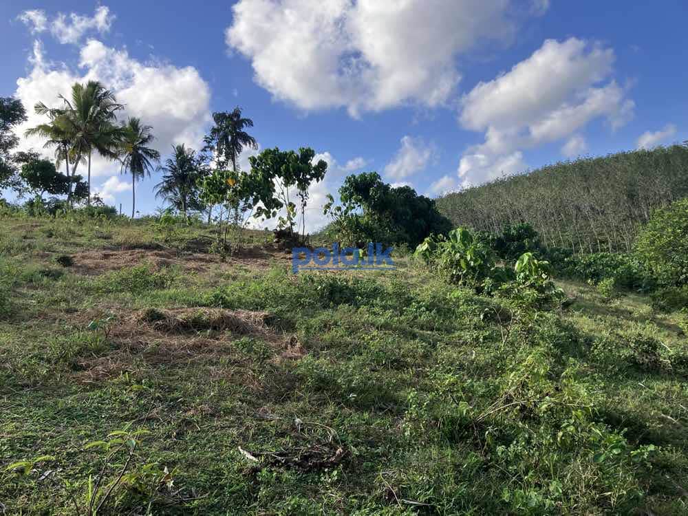 Land for sale in kaluthara - photo 11