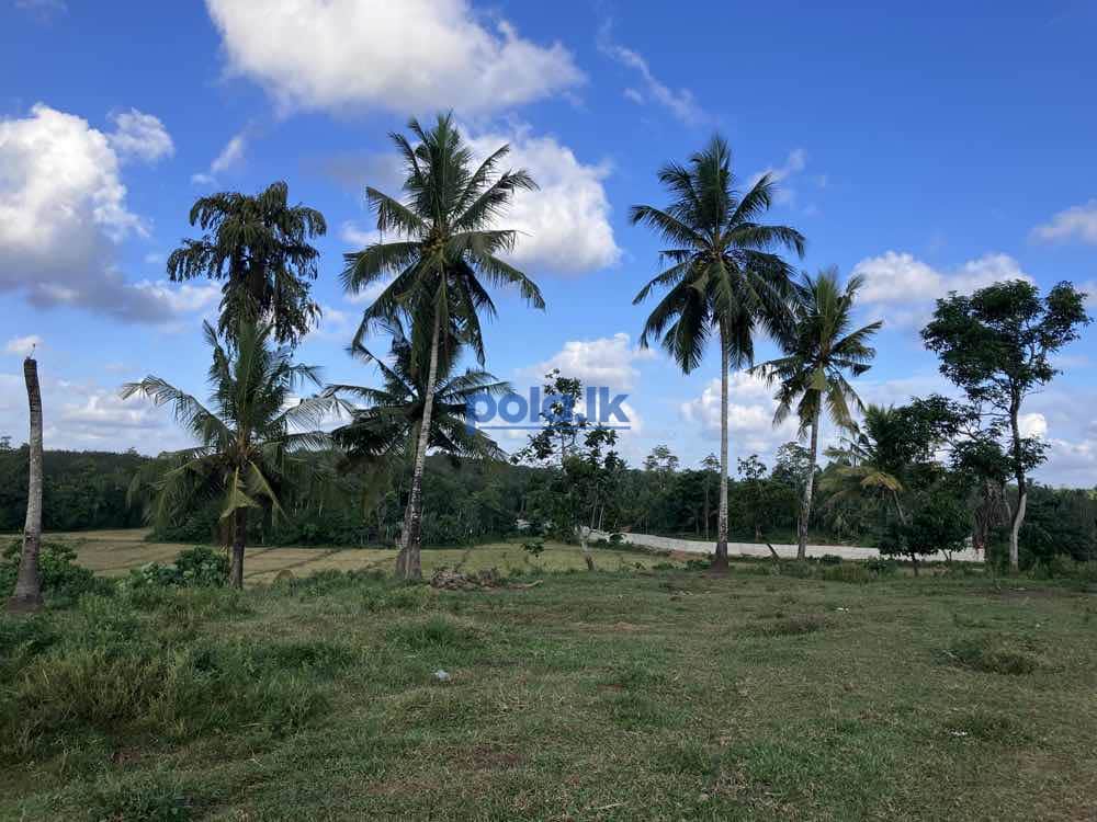 Land for sale in kaluthara - photo 5
