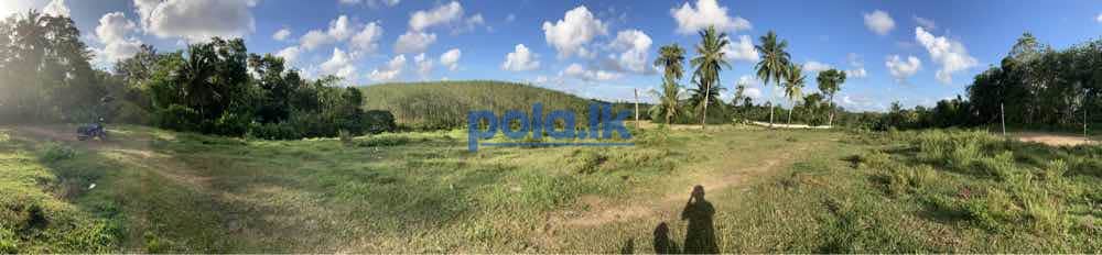 Land for sale in kaluthara - photo 17